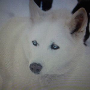 Meet your Posher, Carol